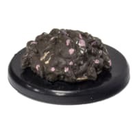 Cranium Rat Swarm #01 Dragon Heist D&D Miniature